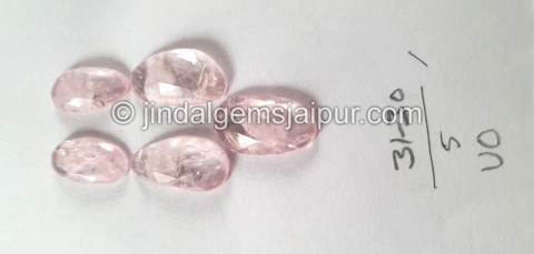 Morganite Rose Cut Slices Morganite Rose Cut Slices
