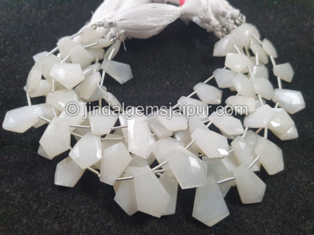 White Moonstone Faceted Shield Beads White Moonstone Faceted Shield Beads