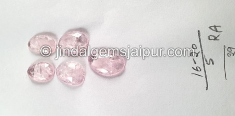 Morganite Rose Cut Slices