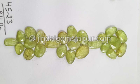 Sphene Rose Cut Slices
