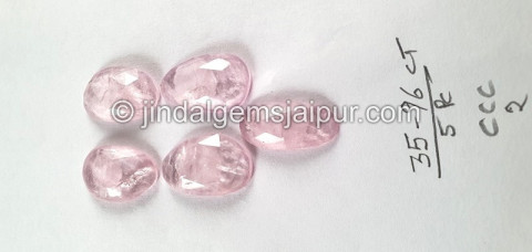 Morganite Rose Cut Slices Morganite Rose Cut Slices