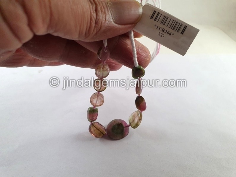 Watermelon Tourmaline Smooth Slices