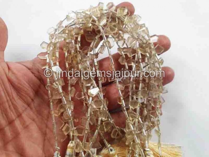 Champagne Citrine Flat Fancy Beads