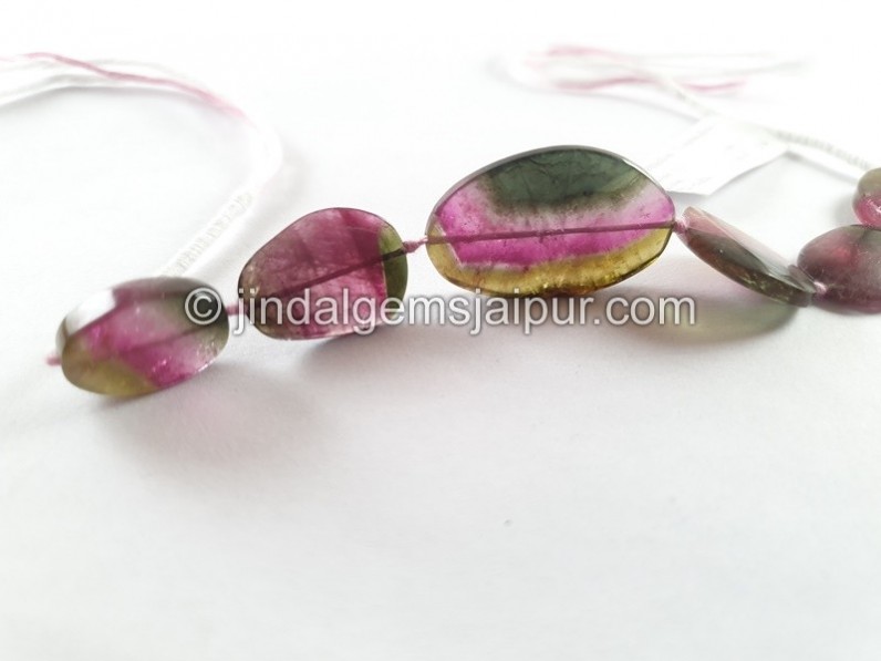 Watermelon Tourmaline Smooth Slices