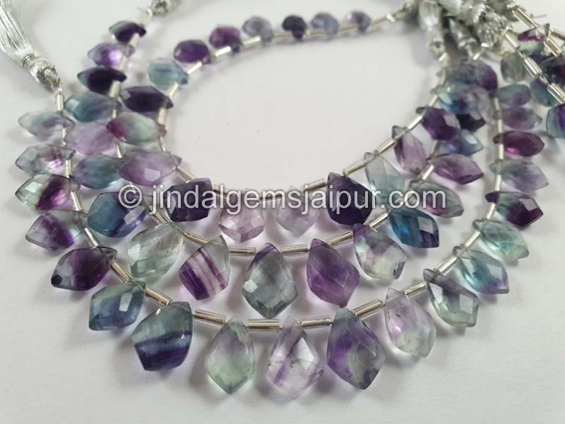 Fluorite Faceted Dolphin Pear Beads