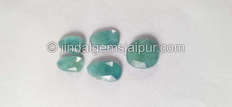 Grandidierite Rose Cut Slices -- DEGRDRT86