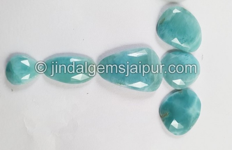 Larimar Rose Cut Slices
