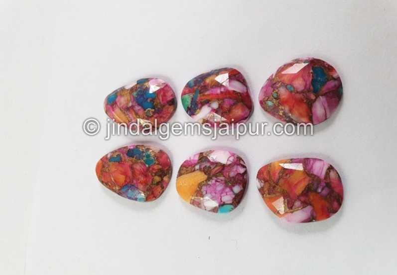 Spiny Oyester Turquoise Rose Cut slices