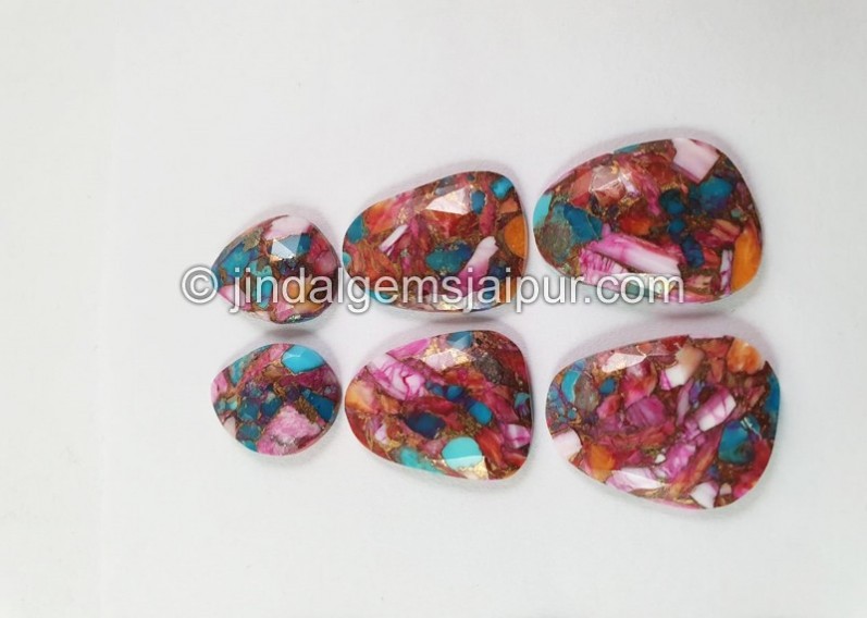 Spiny Oyester Turquoise Rose Cut slices