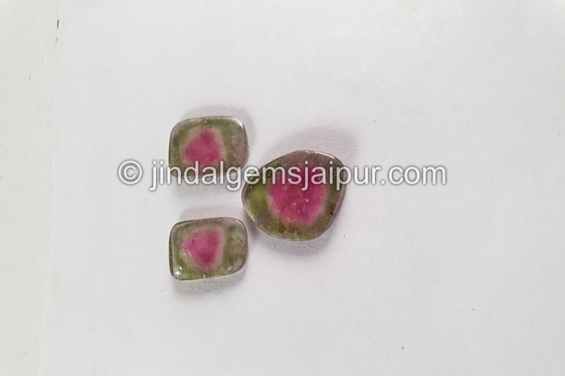 Watermelon Tourmaline Smooth Slices -- DETUR180