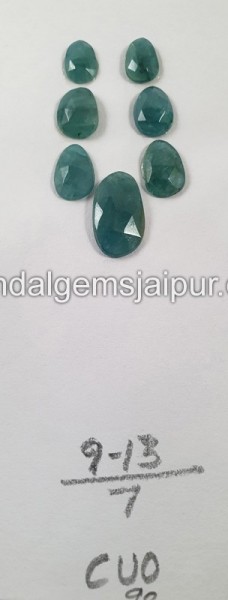 Grandidierite Rose Cut Slices -- DEGRDRT194