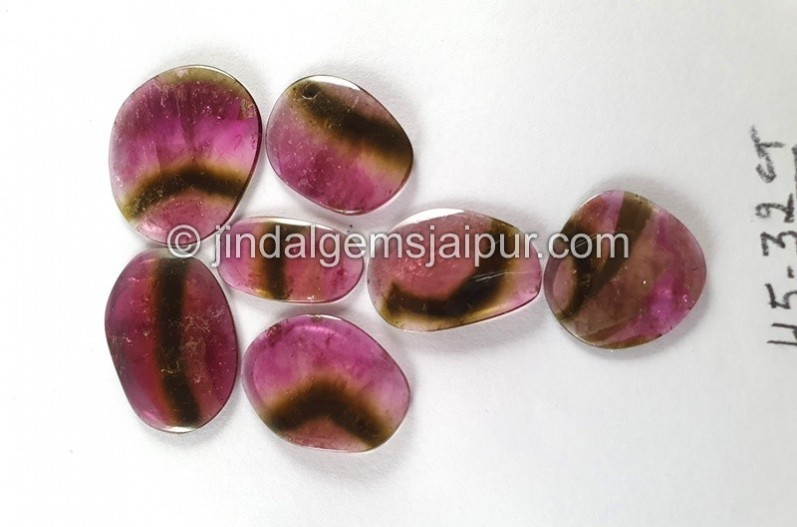 Watermelon Tourmaline Smooth Slices