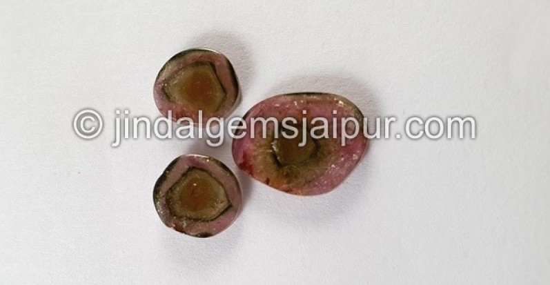 Watermelon Tourmaline Smooth Slices -- DETUR97