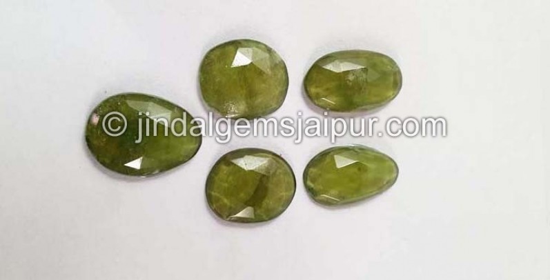 Vesuvianite Rose Cut Slices -- DEVSVT1
