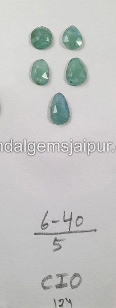 Grandidierite Rose Cut Slices -- DEGRDRT220