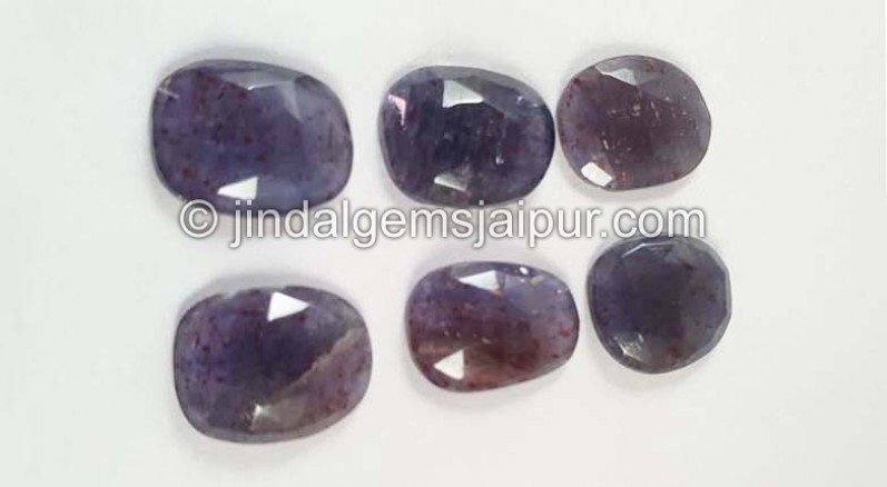 Iolite Sunstone Rose Cut Slices
