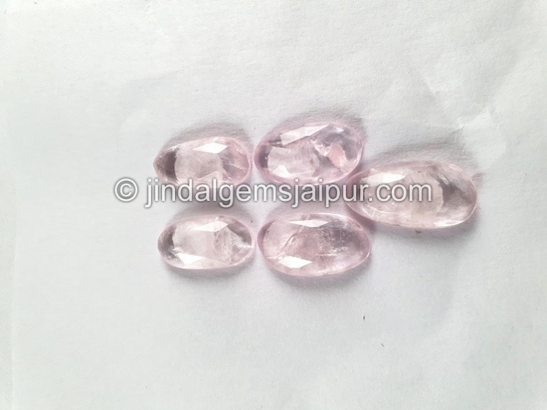 Morganite Rose Cut Slices