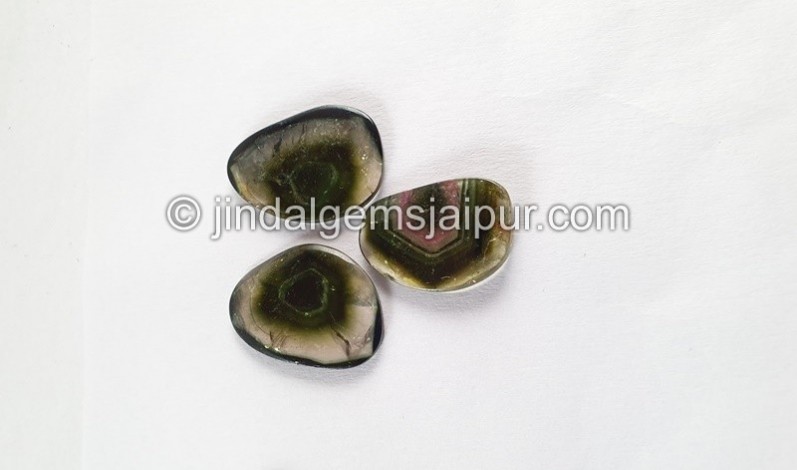 Watermelon Tourmaline Smooth Slices -- DETUR91