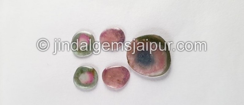 Watermelon Tourmaline Smooth Slices -- DETUR100