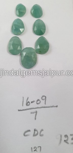 Grandidierite Rose Cut Slices -- DEGRDRT224