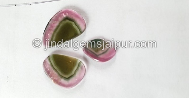 Watermelon Tourmaline Smooth Slices -- DETUR109