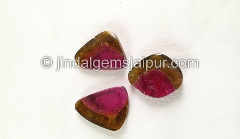 Watermelon Tourmaline Smooth Slices -- DETUR177