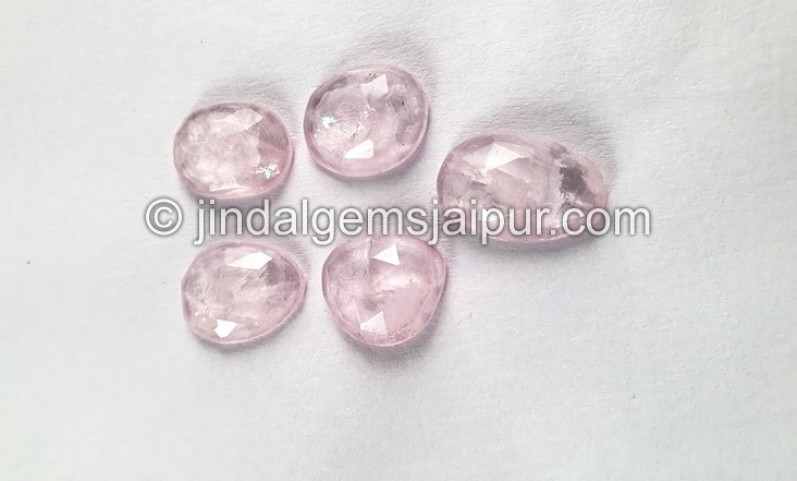 Morganite Rose Cut Slices -- DEMRGT40