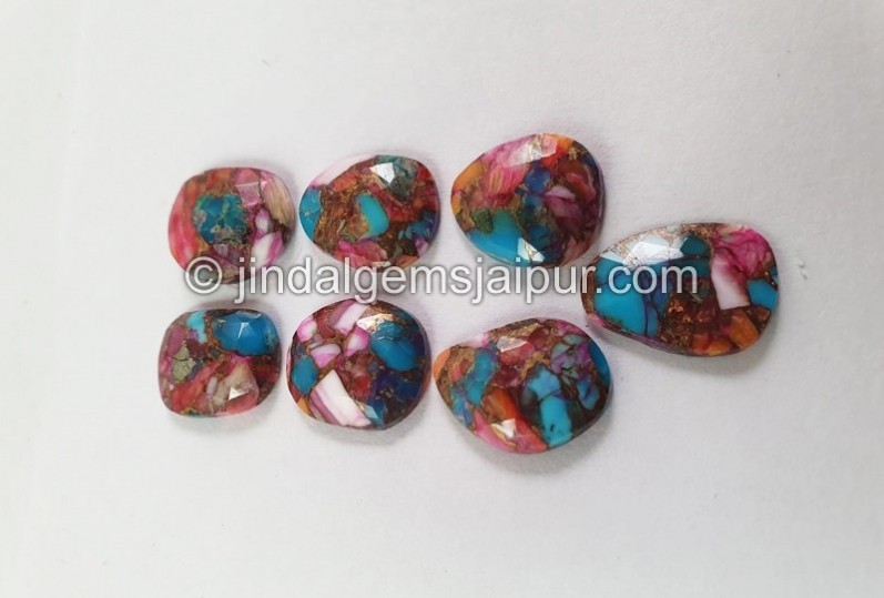 Spiny Oyester Turquoise Rose Cut slices