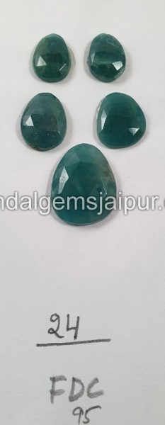 Grandidierite Rose Cut Slices -- DEGRDRT211