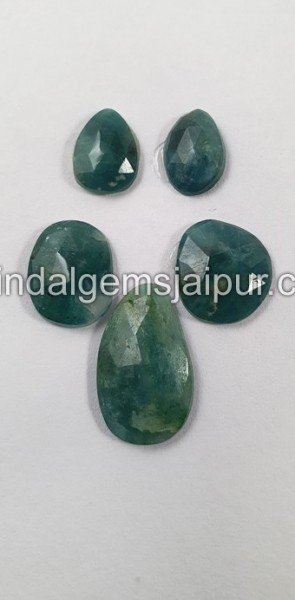 Grandidierite Rose Cut Slices