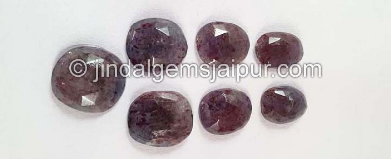 Iolite Sunstone Rose Cut Slices