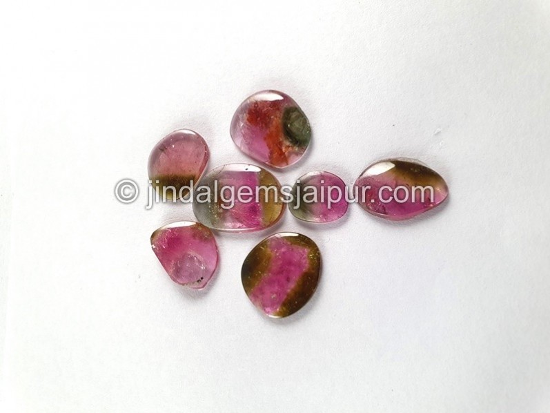 Watermelon Tourmaline Smooth Slices