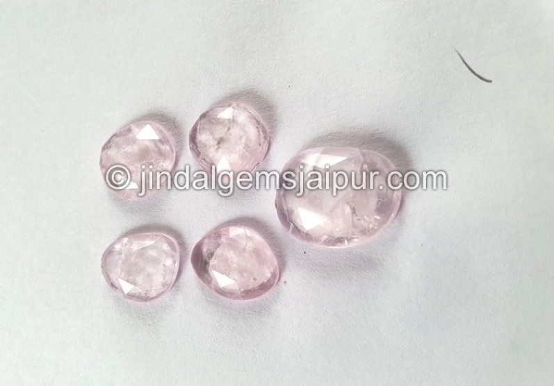 Morganite Rose Cut Slices -- DEMRGT64
