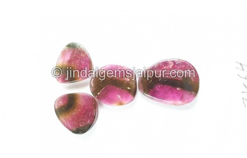 Watermelon Tourmaline Smooth Slices -- DETUR196