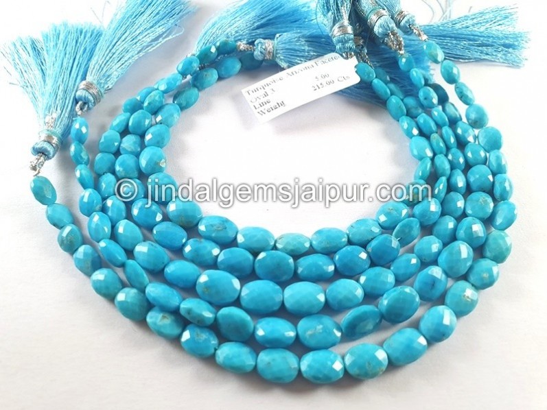 Turquoise Arizona Faceted Oval Shape Beads