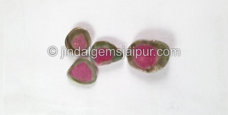 Watermelon Tourmaline Smooth Slices -- DETUR170