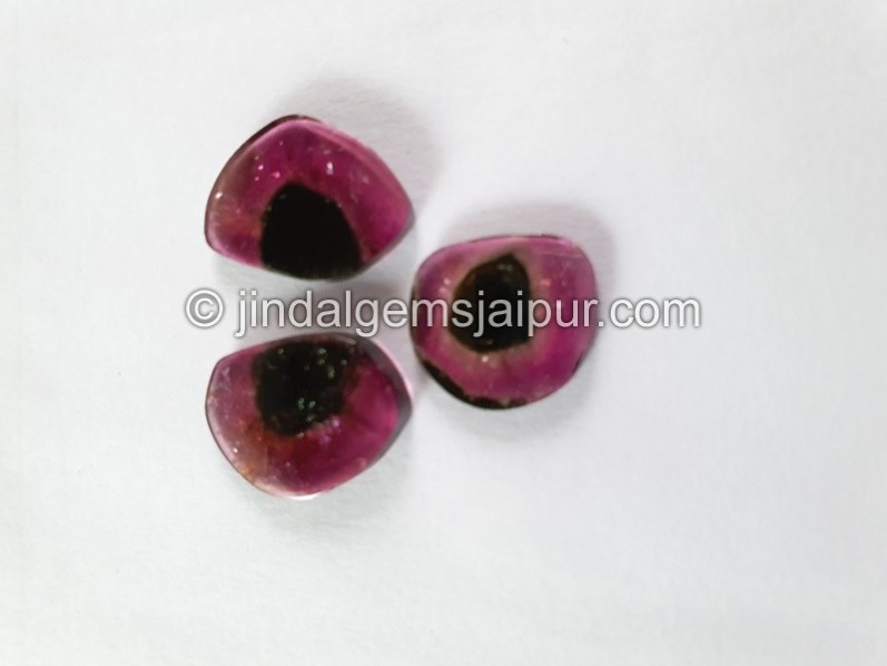Watermelon Tourmaline Smooth Slices -- DETUR173