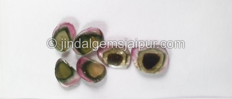 Watermelon Tourmaline Smooth Slices -- DETUR174