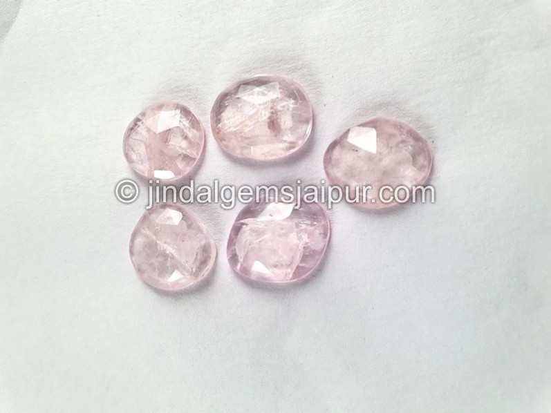 Morganite Rose Cut Slices -- DEMRGT48