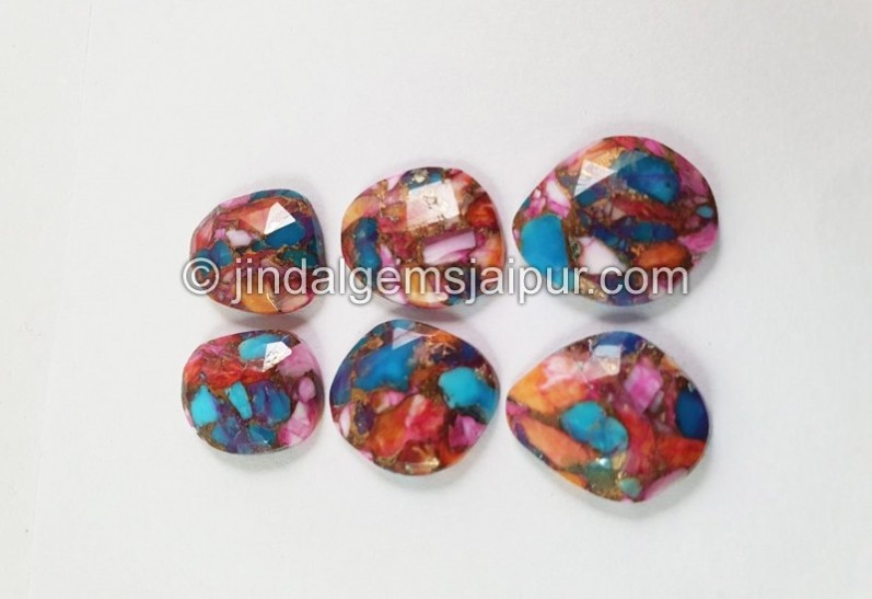 Spiny Oyester Turquoise Rose Cut slices