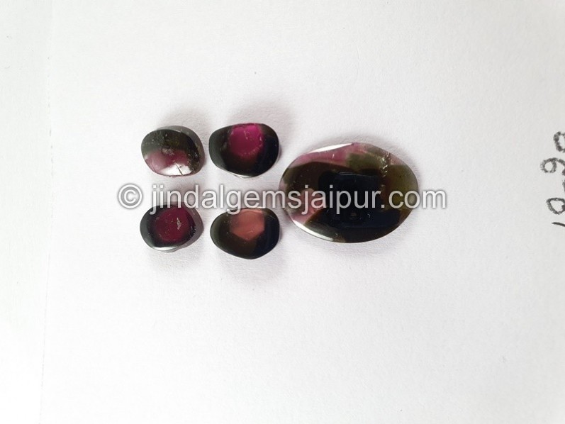 Watermelon Tourmaline Smooth Slices