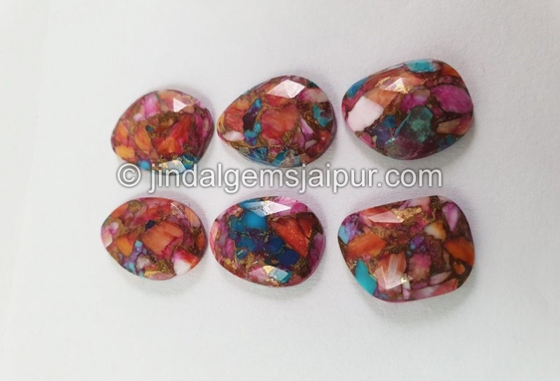 Spiny Oyester Turquoise Rose Cut slices