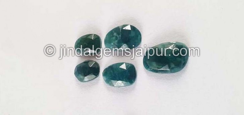 Grandidierite Rose Cut Slices -- DEGRDRT45