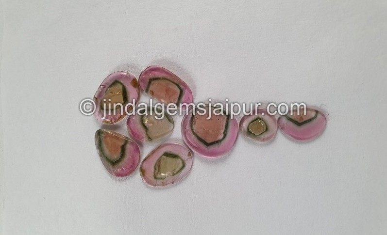 Watermelon Tourmaline Smooth Slices -- DETUR96