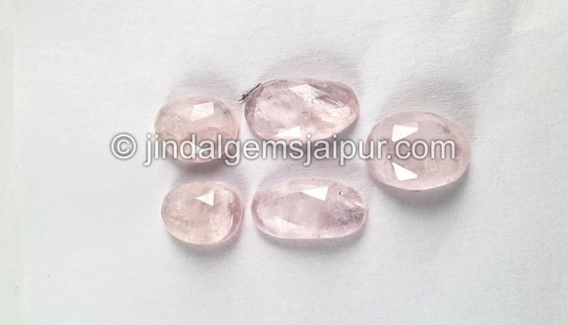 Morganite Rose Cut Slices