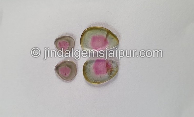 Watermelon Tourmaline Smooth Slices -- DETUR99