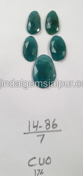 Grandidierite Rose Cut Slices -- DEGRDRT242
