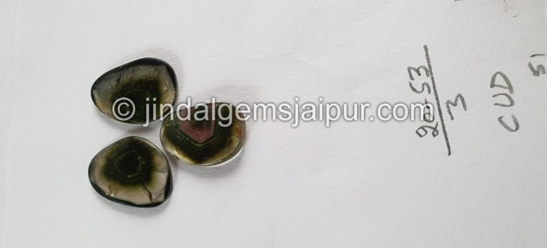 Watermelon Tourmaline Smooth Slices -- DETUR91