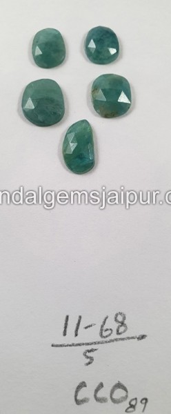 Grandidierite Rose Cut Slices -- DEGRDRT191