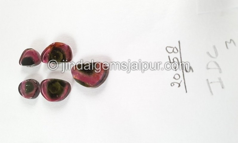 Watermelon Tourmaline Smooth Slices -- DETUR190